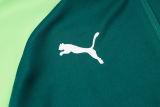 2025 Palmeiras Dark Green Jacket Tracksuit