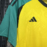 2024/25 JAMAICA Home REGGAE BOYZ Fans Soccer Jersey