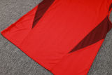 2024/25 Internacional Red Vest Training Jersey(A Set)