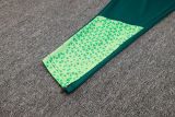 2025 Palmeiras Dark Green Jacket Tracksuit