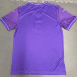 2024/25 RSC Anderlecht Home Fans Soccer Jersey 安德莱赫特