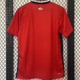 2024/25 Lille Home Red Fans Soccer Jersey