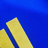 2024/25 Boca Home Blue Player Version Soccer Jersey