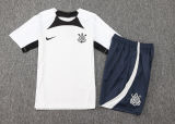 2025 Corinthians Grey Training Tracksuit