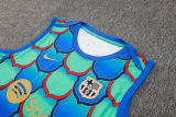 2024/25 BA Green Vest Training Jersey(A Set)