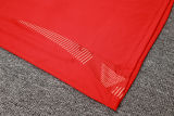 2024/25 Spain Red Vest Training Jersey(A Set)