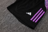 2024/25 Germany White Vest Training Jersey(A Set)