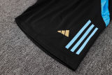 2024/25 Argentina Grey Vest Training Jersey(A Set)