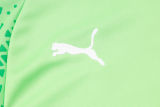 2025 Palmeiras Green Sweater Tracksuit