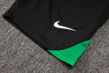 2025 Nigeria Training Jersey(A Set)