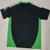 2024/25 Burgos CF Away Fans Soccer Jersey 布尔戈斯