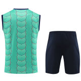 2024/25 BA Light Green Vest Training Jersey(A Set)