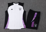 2024/25 Germany White Vest Training Jersey(A Set)