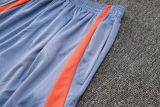 2024/25 In Milan Light Gray Vest Training Jersey(A Set)