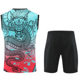 2024/25 RM Vest Training Jersey(A Set)