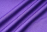 2024/25 Germany Purple Jacket Tracksuit