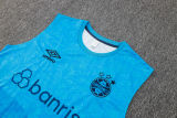 2024/25 Grêmio Blue Vest Training Jersey(A Set)