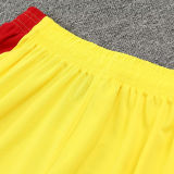 2024/25 Liv Yellow Vest Training Jersey(A Set)