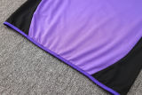 2024/25 Germany Purple Jacket Tracksuit