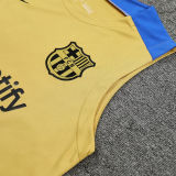 2024/25 BA Khaki Vest Training Jersey(A Set)