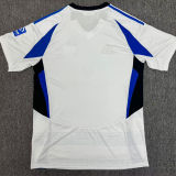 2024/25 Hamburger SV Home Fans Soccer Jersey 汉堡