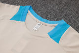 2024/25 Argentina Grey Vest Training Jersey(A Set)