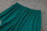 2025 Palmeiras Dark Green Jacket Tracksuit