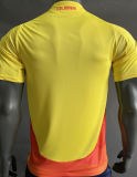 2024/25 Colombia Home Yellow Player Version Soccer Jersey
