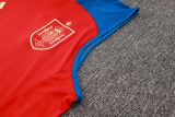 2024/25 Spain Red Vest Training Jersey(A Set)