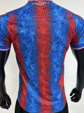 2024/25 Crystal Palace Home Player Version Soccer Jersey