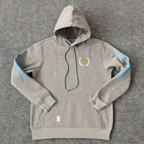 2024/25 Argentina Grey Hoody