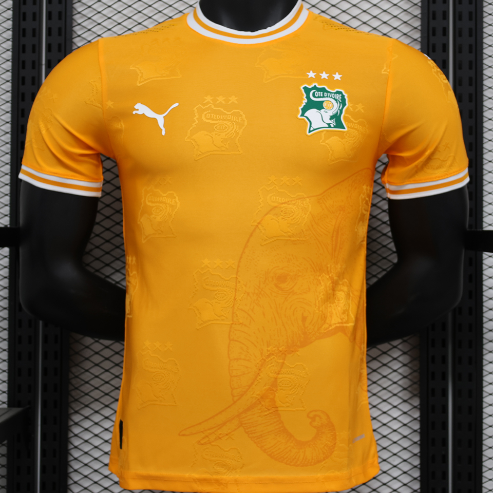 2025 Costa de Marfil Especial Orange Versión Jugador