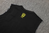 2025 Brazil Vest Training Jersey(A Set)