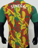 2025 Senegal Special Edition Player Version Soccer Jersey