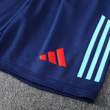 2025 Flamengo Blue Vest Training Jersey(A Set)