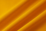 2025/26 BFC Yellow Jacket Tracksuit