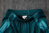2025/26 Cruzeiro Light Green Training Jersey(A Set)
