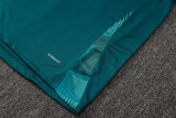 2025/26 Cruzeiro Green Vest Training Jersey(A Set)