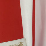 2025 Olympiacos 100TH Special Edition Fans Soccer Jersey 奥林匹亚科斯