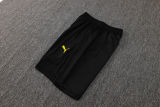 2025/26 BVB  Black Training Jersey(A Set)