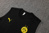2025/26 BVB  Black Vest Training Jersey(A Set)
