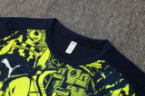 2025/26 Man City  Training Jersey(A Set)