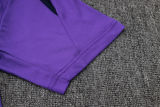 2025/26 Corinthians Purple Training Jersey(A Set)