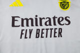 2025/26  Benfica Grey Vest Training Jersey(A Set)