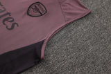 2025/26  ARS Grey Purple Vest Training Jersey(A Set)