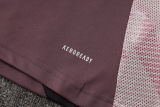 2025/26  ARS Grey Purple Vest Training Jersey(A Set)