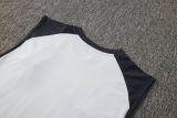 2025/26  Benfica Grey Vest Training Jersey(A Set)