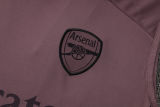 2025/26  ARS Grey Purple Vest Training Jersey(A Set)