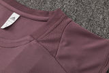 2025/26  ARS Grey Purple Vest Training Jersey(A Set)