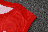 2025/26  PSG Red Vest Training Jersey(A Set)喷墨